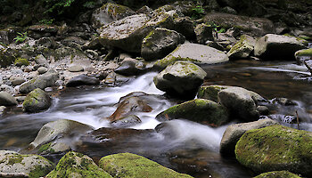 Im Wanderurlaub Bayerischer Wald die Buchberger Leite erkunden.